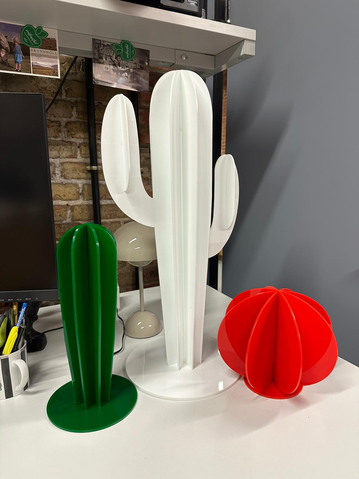 Creación de colección de cactus decoración mejicana